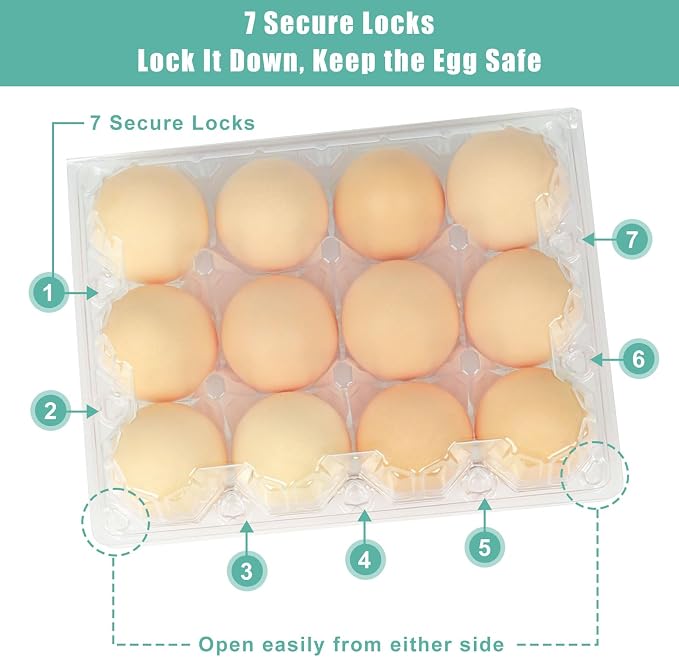 SINLUCESCE 120 Packs Egg Cartons Cheap Bulk, Plastic for 12 Eggs, Clear Egg Cartons 3 x 4 Grids, Perfect for Refrigerator Family Farm Commercial Business Market Display - Image 6