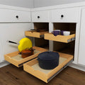 Elysian Pull-Out Tray Organizer, 17" W × 21" D Sliding Storage Drawer with Full-Extension 35mm Ball-Bearing Slides, Roll-Out Shelf for Kitchen Cabinet Organization by Elysian