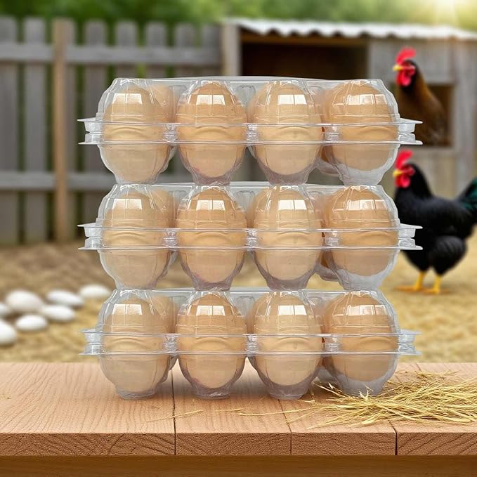 50-Pack of 12-Count Plastic Egg Cartons – Bulk Clear Reusable Egg Containers Holds Chicken Eggs | Egg Cartons Cheap Bulk, Eggs 12 Count,Suitable for farms, markets and families. - Image 4