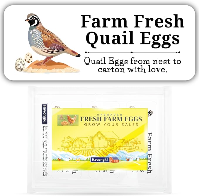 120 Quial Egg Carton Labels Stickers | White | Farm Fresh Eggs | 4 6 12 15 18 30 48 50 Count - Basket Box Container Extra Organizer Farm Supplies, 66mm x 26mm by Unknown
