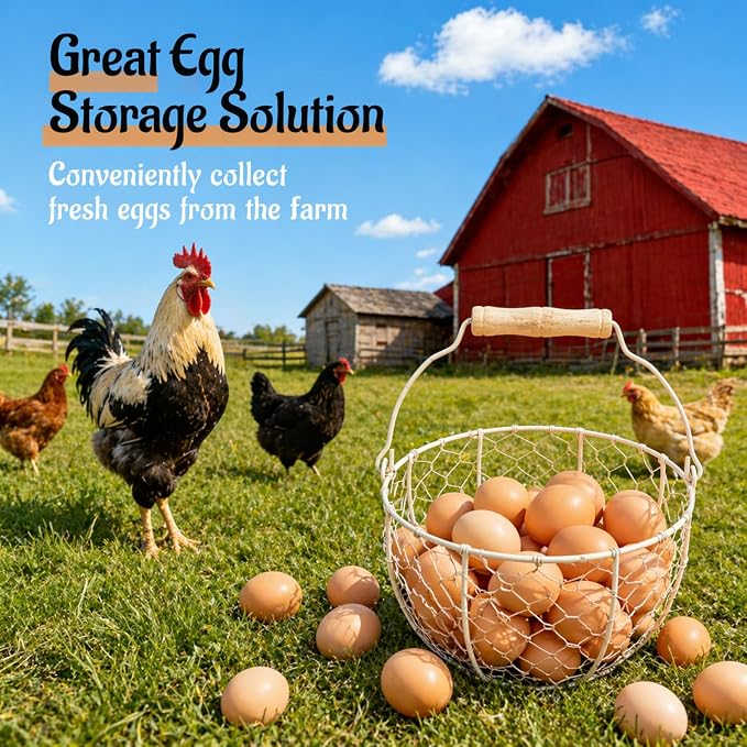 2 Pcs Egg Basket With Handle,Wire Egg Basket for Gathering Fresh Eggs, Round Egg Collecting Basket for Farm,Vintage Style Chicken and Duck Eggs Basket Egg Countertop Storage Container Holder ﻿ - Image 4
