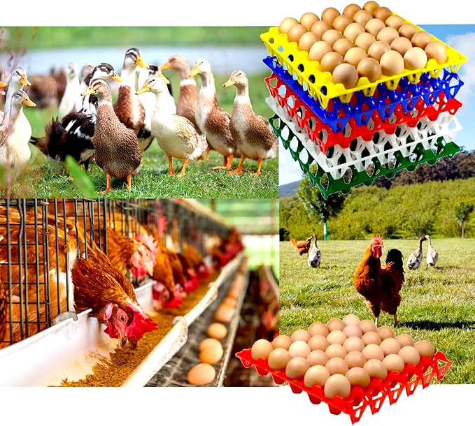 15-Pack Reusable Plastic Egg Tray Egg Crates 30-Egg Flats for Home Chicken Farmers, Stackable Egg Cartons Hold Multiple Eggs, Great for Storing, Sorting, and Shipping Eggs, Durable and Reusable - Image 4