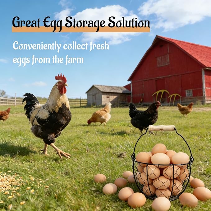 2 Pcs Egg Basket With Handle,Wire Egg Basket for Gathering Fresh Eggs, Round Egg Collecting Basket for Farm,Vintage Style Chicken and Duck Eggs Basket Egg Countertop Storage Container Holder ﻿ - Image 4